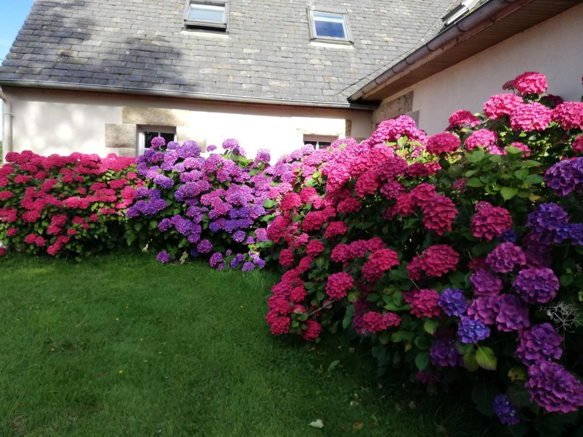Bed and Breakfast Le Tregonnec, Pres De Morlaix, Roscoff Plouvorn Exteriér fotografie